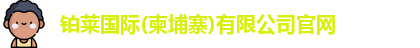 铂莱国际